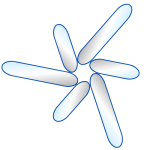 LOGO NUEVO AZUL DIBUJO 1